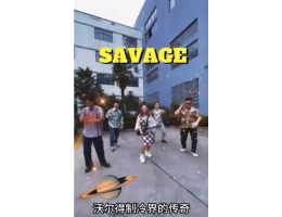 沃爾得青春之歌